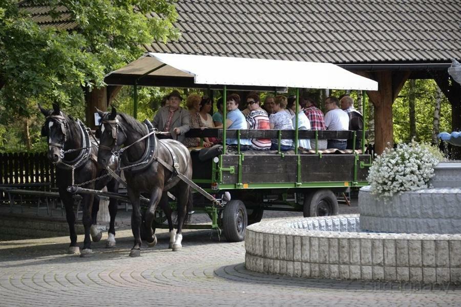 Hotel Park Lesny 'U Kaczyny' Rogow Exterior foto