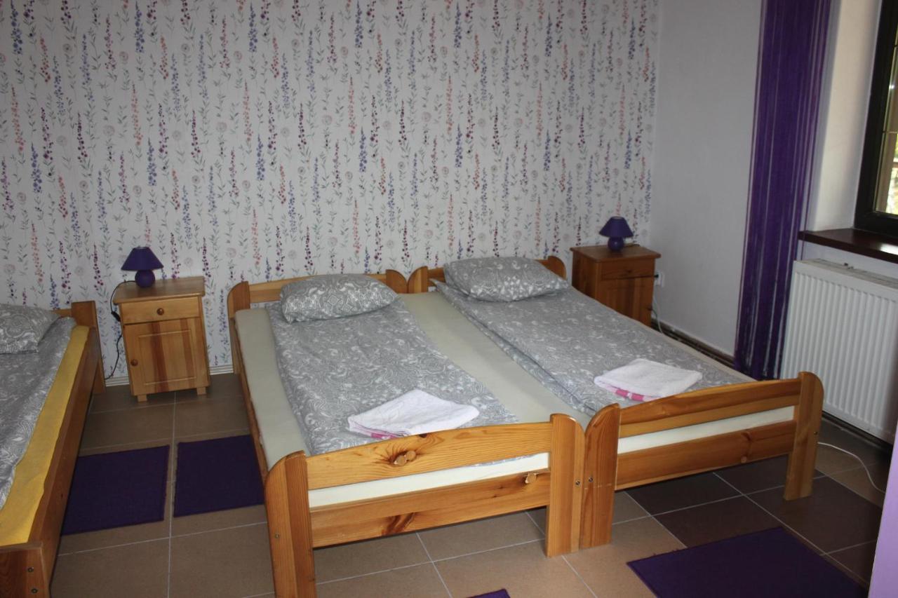 Hotel Park Lesny 'U Kaczyny' Rogow Exterior foto